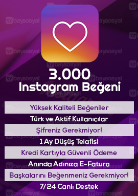 3000 instagram beğeni